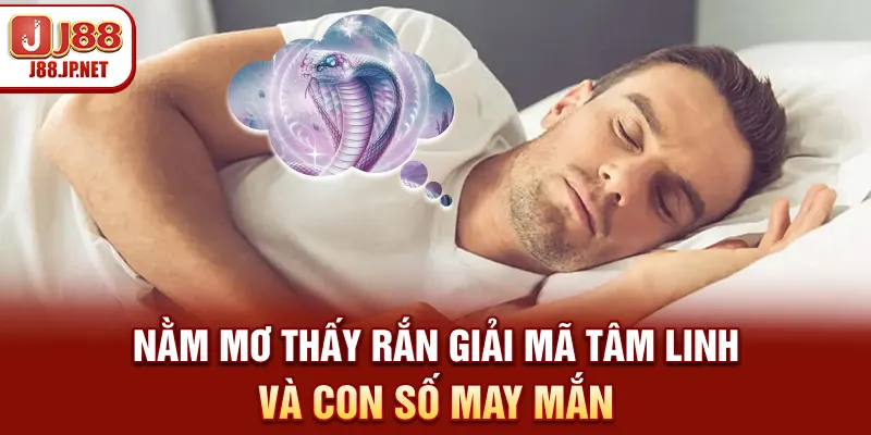 Nằm mơ thấy rắn - Giải mã tâm linh và con số may mắn